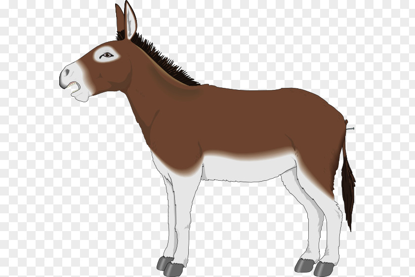 Donkey Mule Cartoon Clip Art PNG