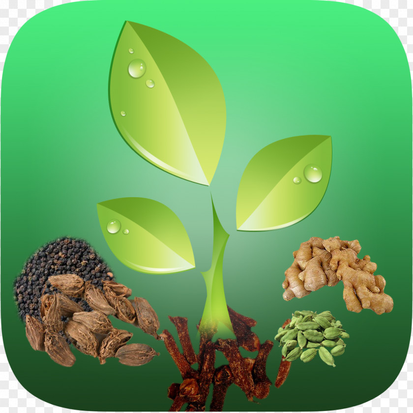 Herbs Herb App Store Lock Screen PNG