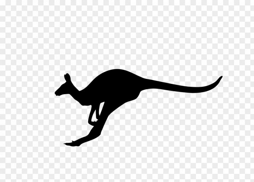 Kangaroo Macropodidae Australia Silhouette PNG