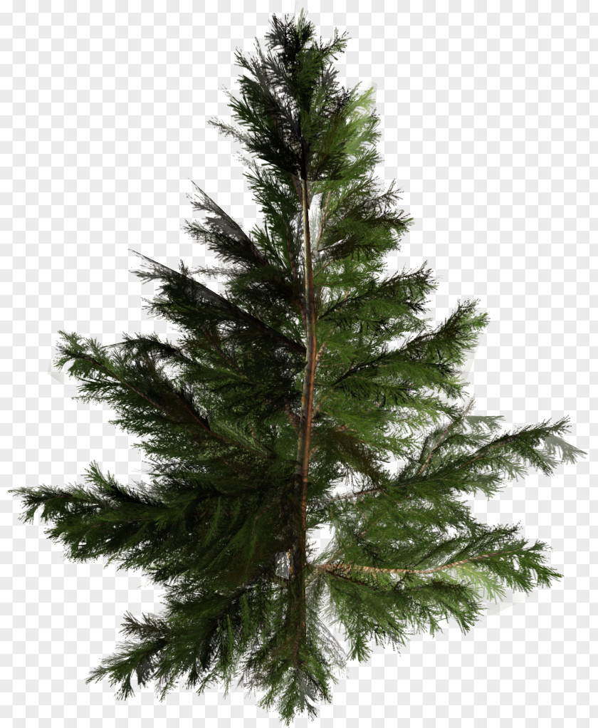 Tree Artificial Christmas Pine Pinales PNG