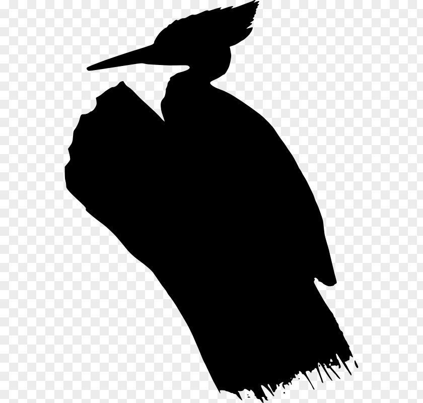 Beak Clip Art Silhouette Black M PNG