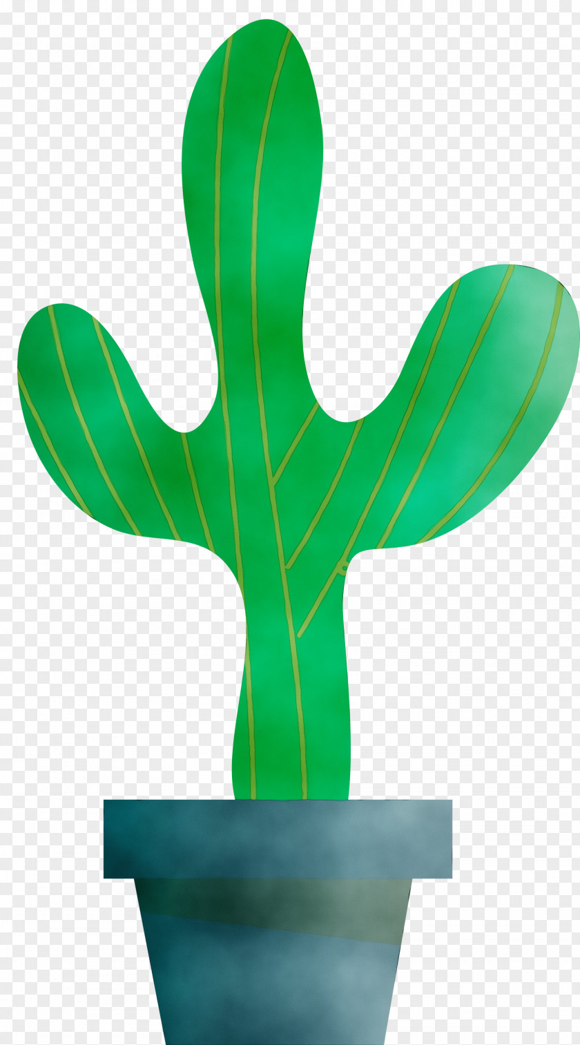 Cactus PNG