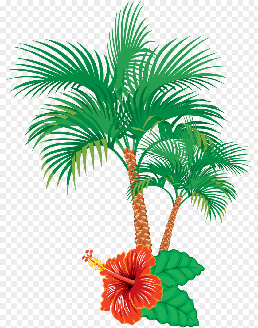 Coco Tree Vector Graphics Illustration Clip Art Palm Trees Image PNG