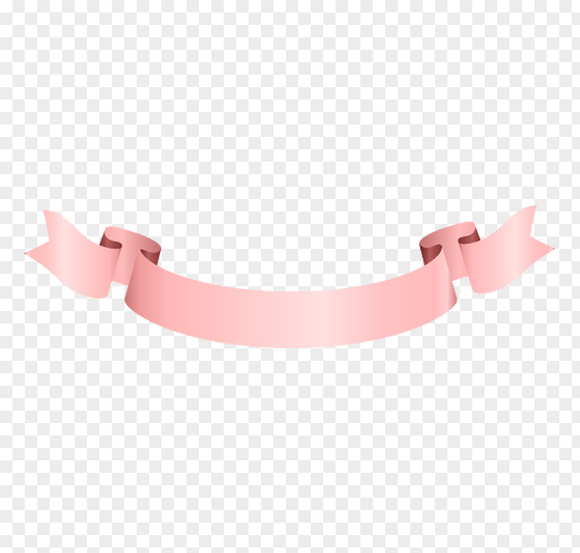 Fashion Accessory Pink PNG