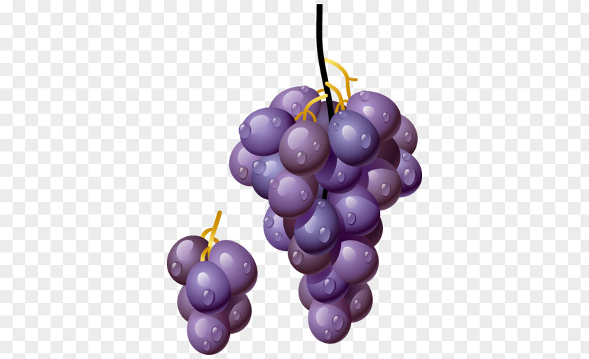 Fruit Common Grape Vine White Wine Clip Art Leaves PNG