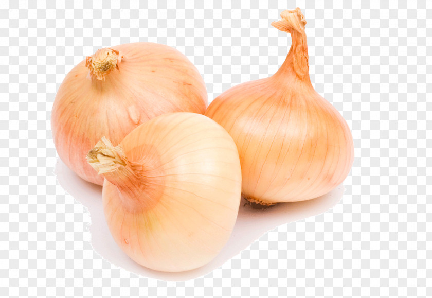 Garlic Vegetable Food PNG
