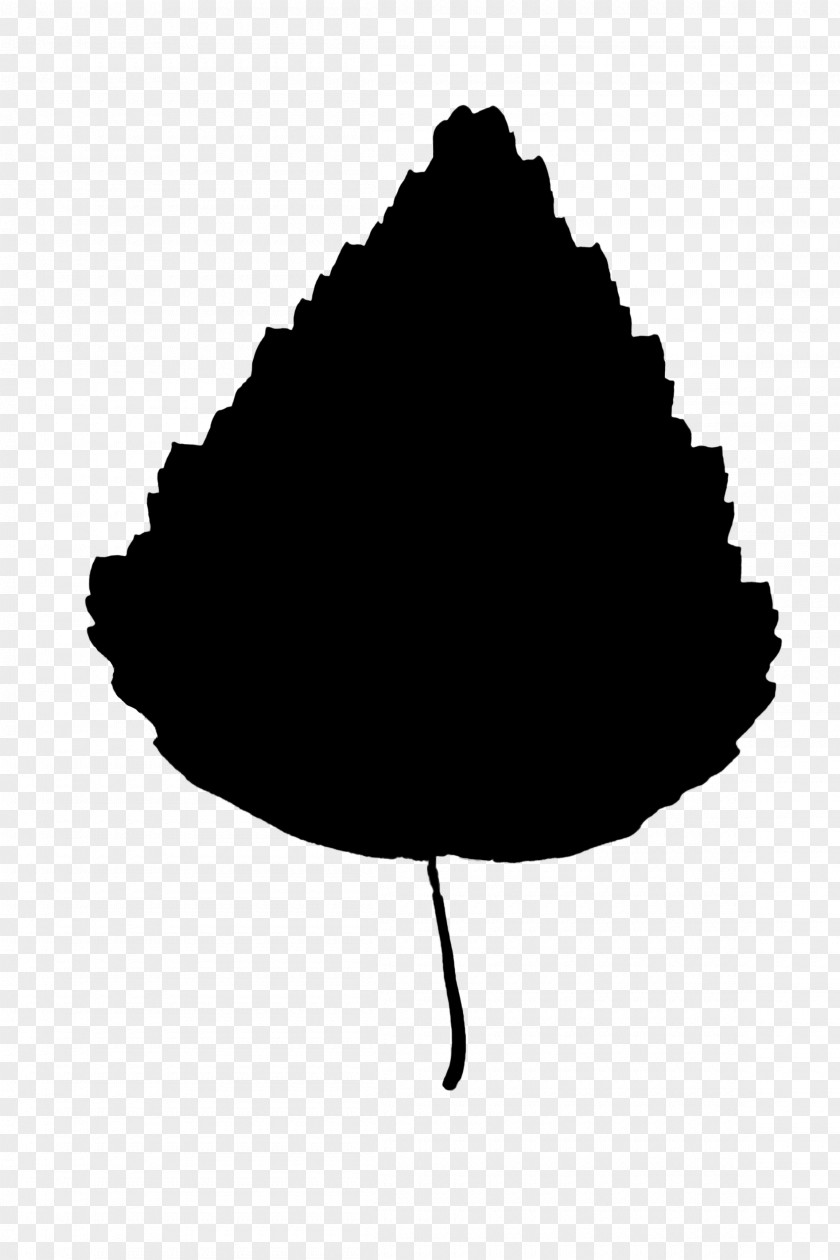 M Leaf Silhouette Tree Black & White PNG
