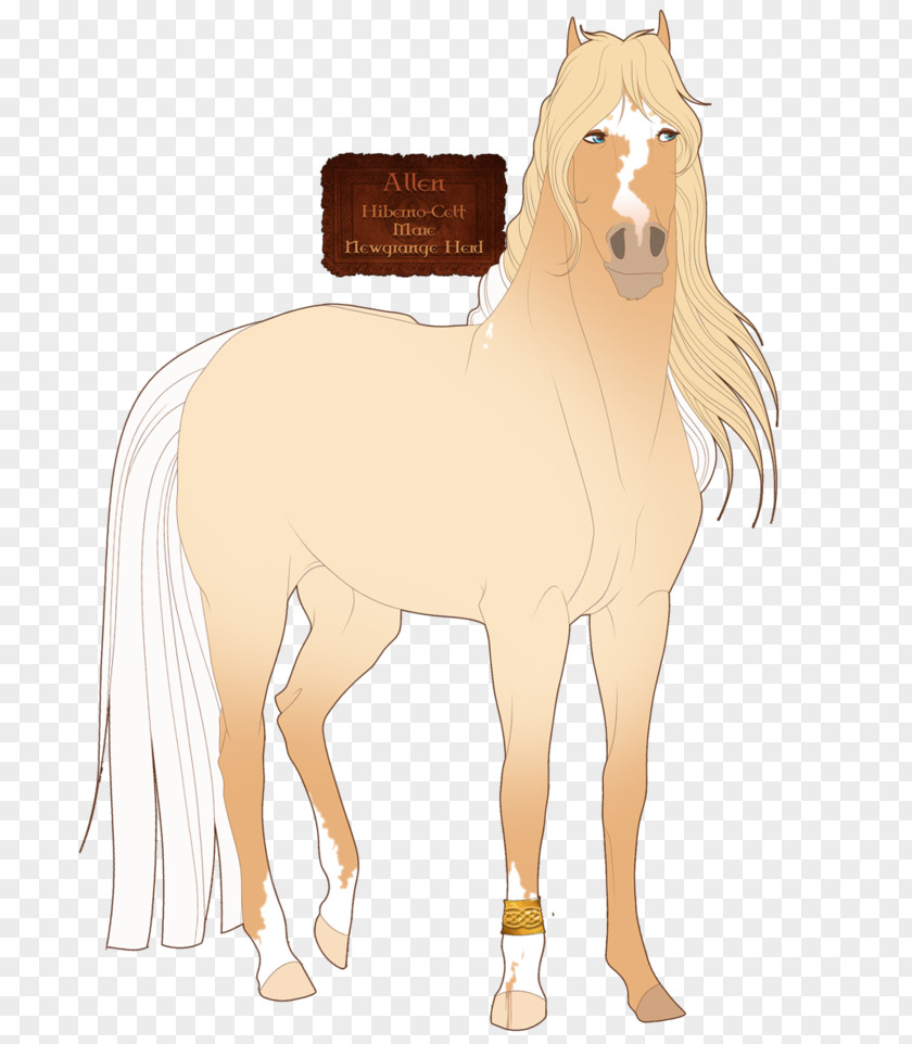 Mustang Mane Foal Stallion Colt PNG