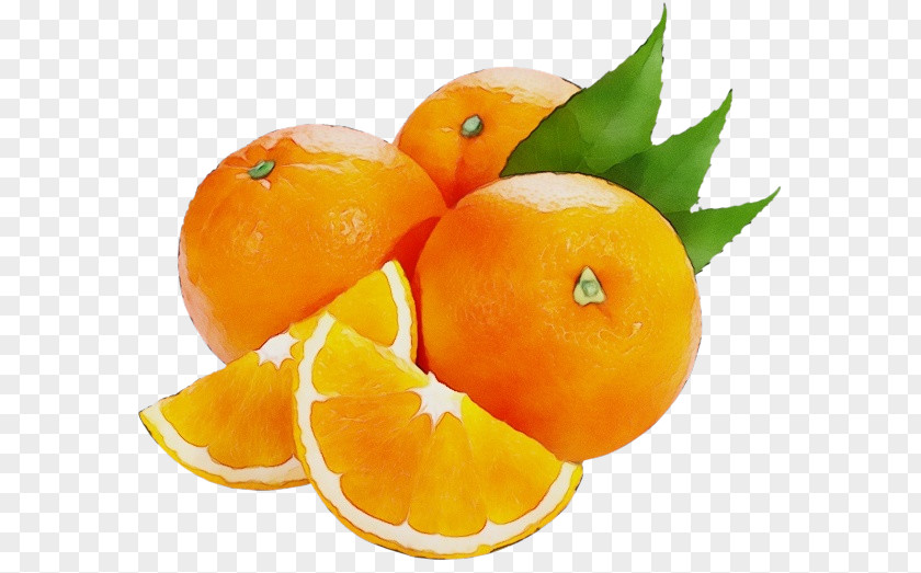 Orange Rangpur PNG