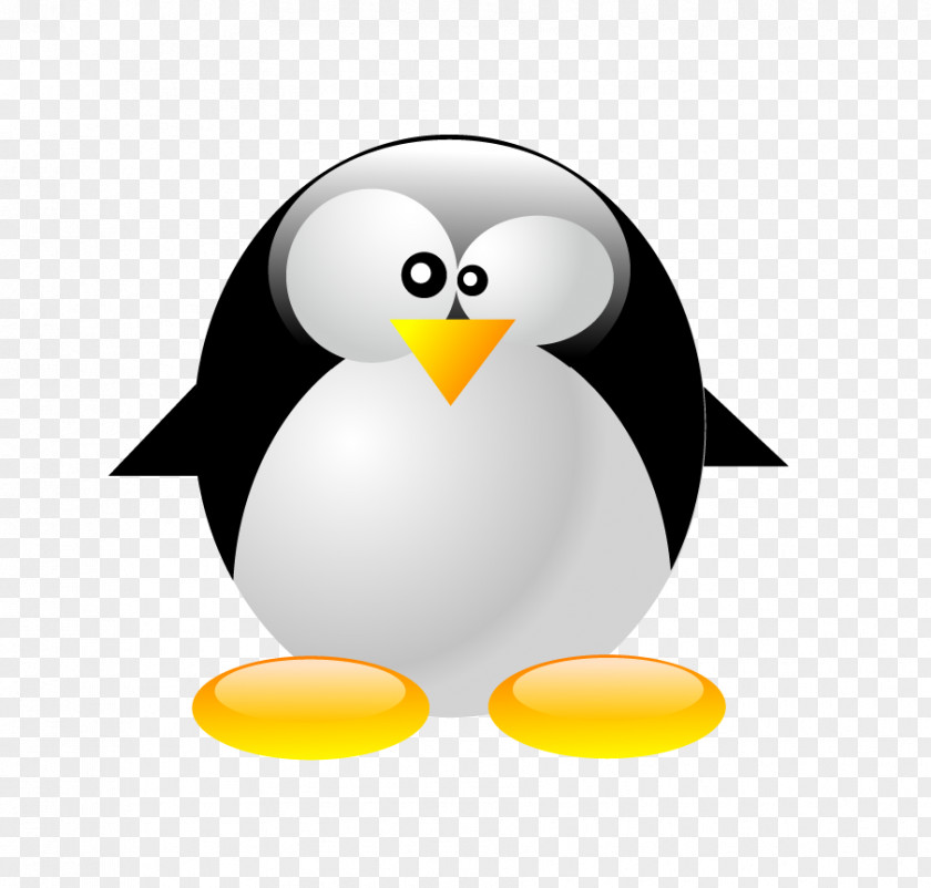 Penguin Vector Graphics Image Euclidean PNG