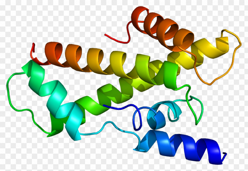 TAF11 Transcription Factor II D TATA-binding Protein PNG