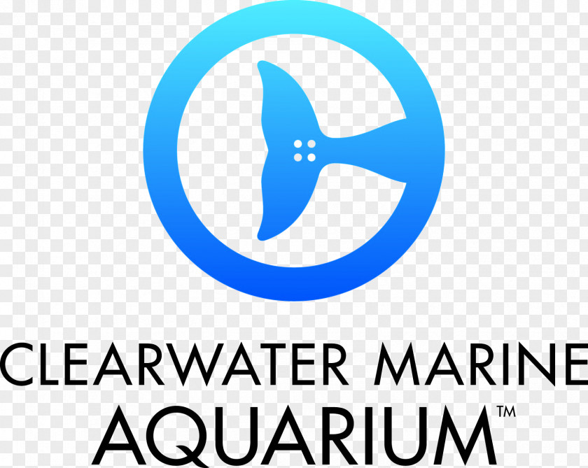 Winter Clearwater Marine Aquarium The Dolphin PNG