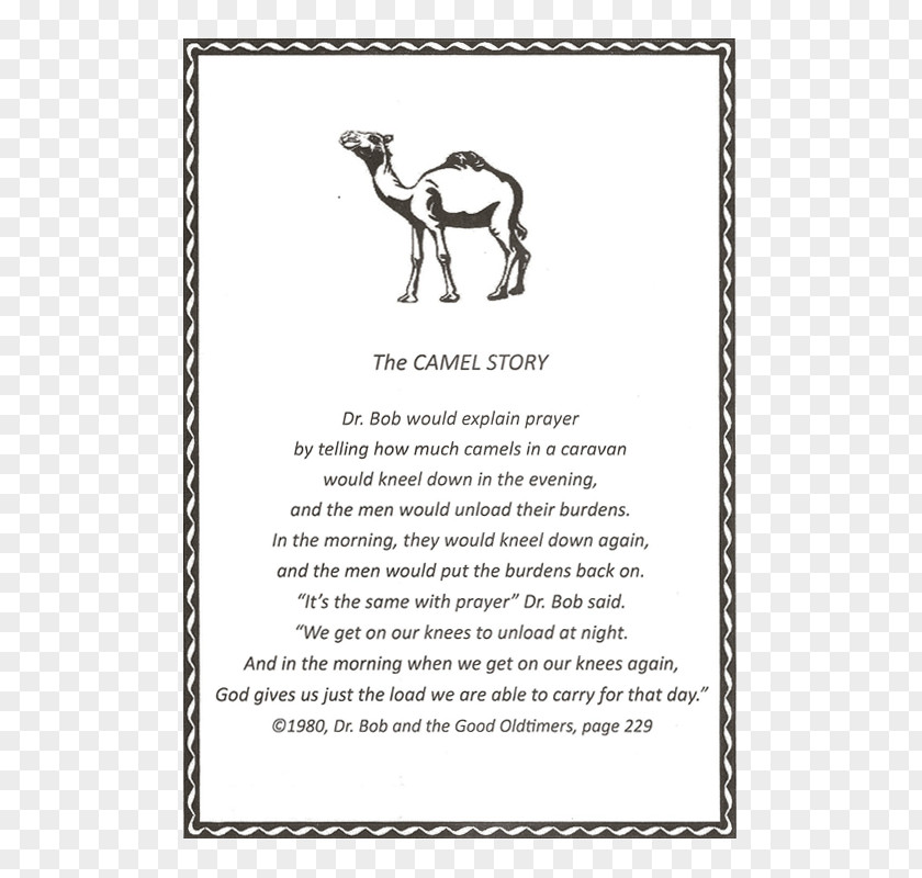 Camel Dr. Bob's Home Mammal Picture Frames Font PNG