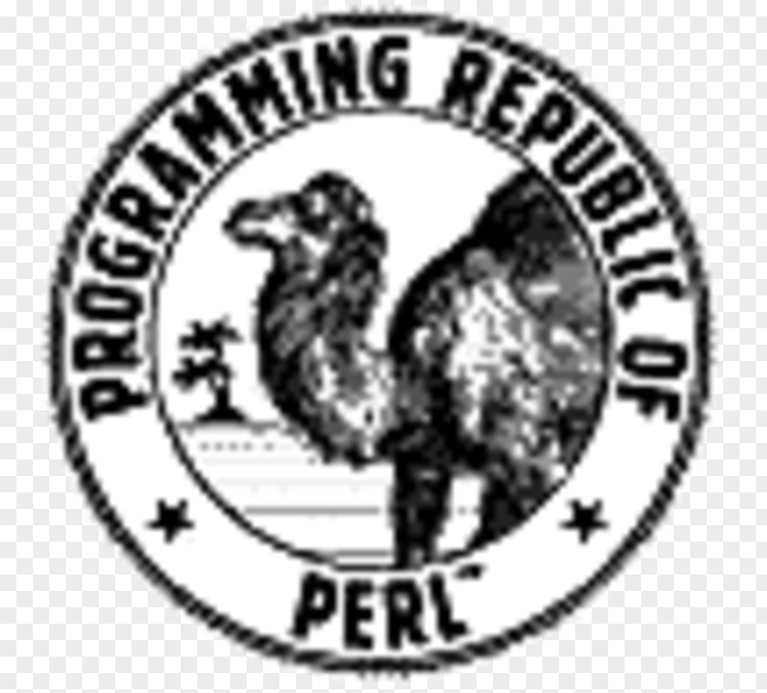 Computer Program Programming Language Programmer User Interface PNG