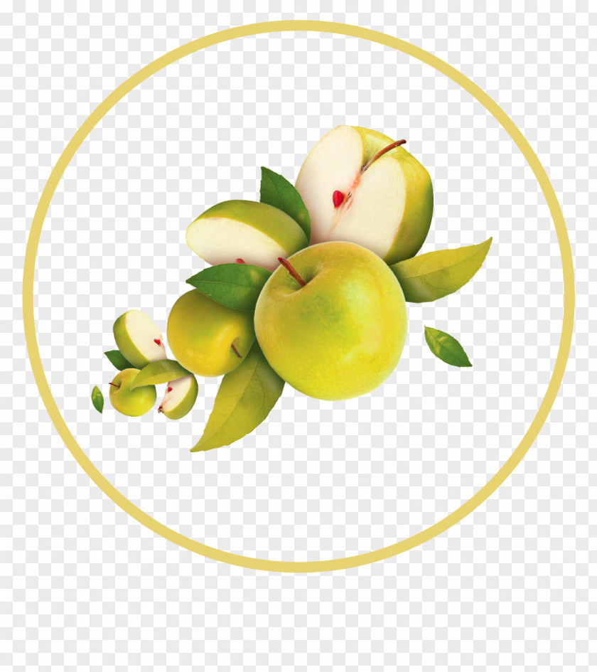 Green Simple Apple Decorative Patterns Auglis Icon PNG
