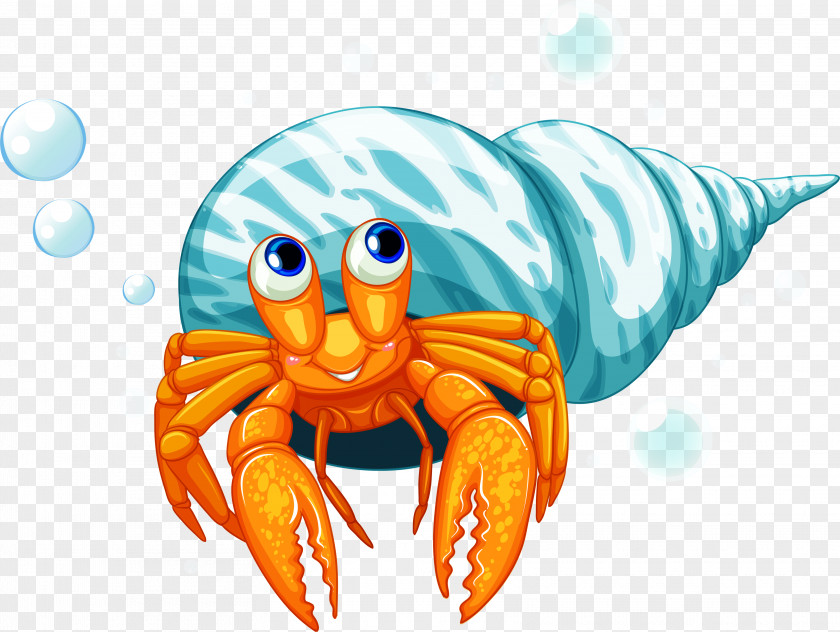 Hermit Crab PNG crab , clipart PNG