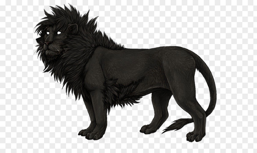 Lion Panther Big Cat Roar PNG