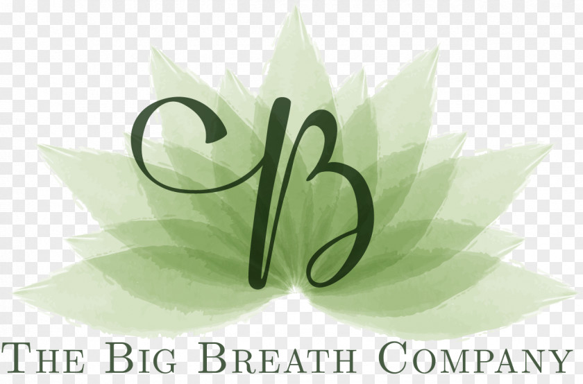 Bad Breath Driving Phobia The Big Company Limited Fear Stress PNG