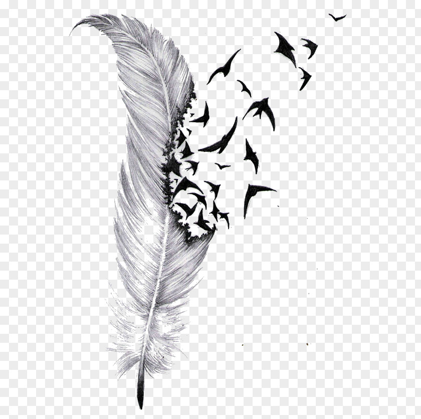 Bird Tattoo Feather Cover-up Drawing PNG