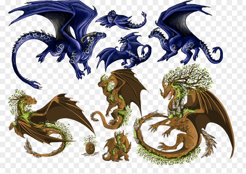 Dragon Fire Typowy Czlowiek PNG