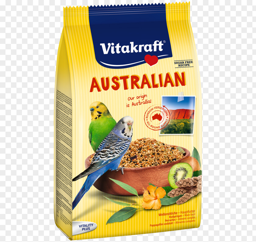 Australia Budgerigar Parrot Cockatiel Bird PNG