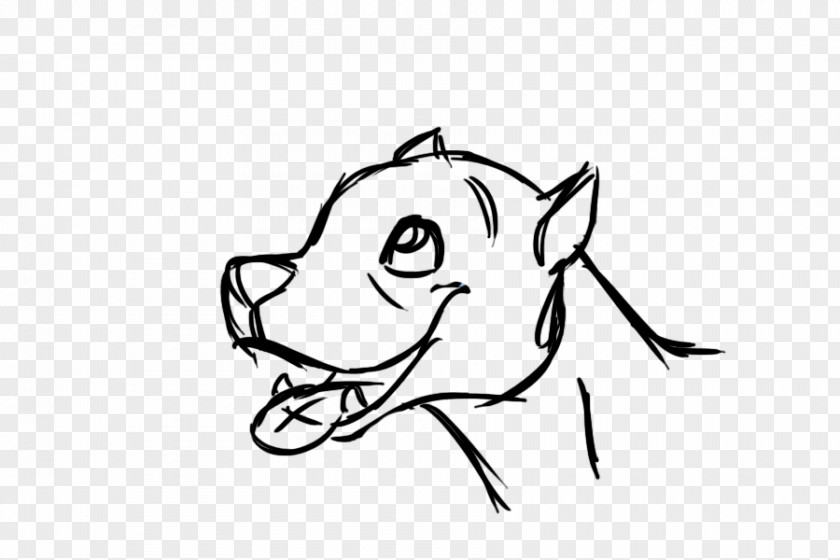 Dog Whiskers Cat Sketch Snout PNG
