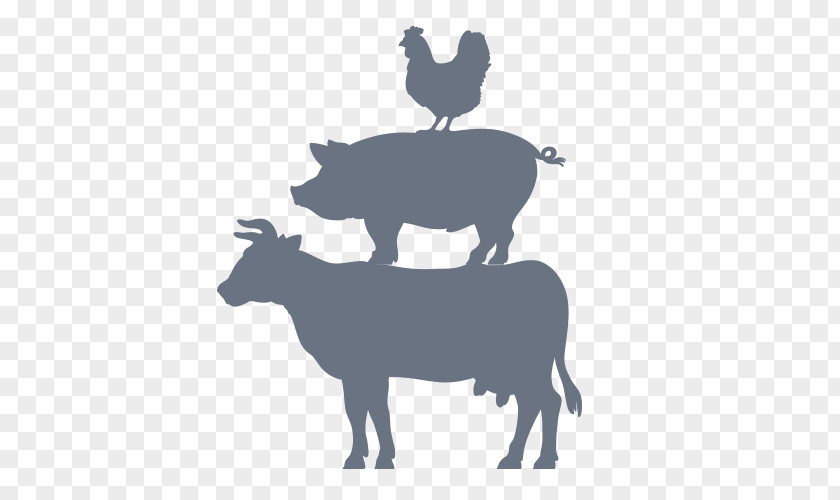 Farm Animals Cattle Pig Livestock Agriculture PNG