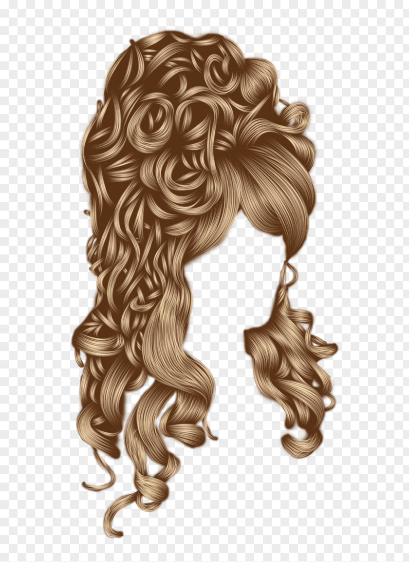 Hair Wig Capelli PNG
