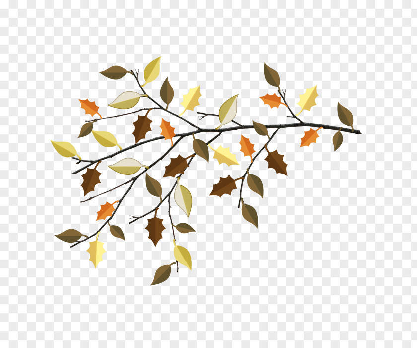 Leaf Maple Autumn PNG
