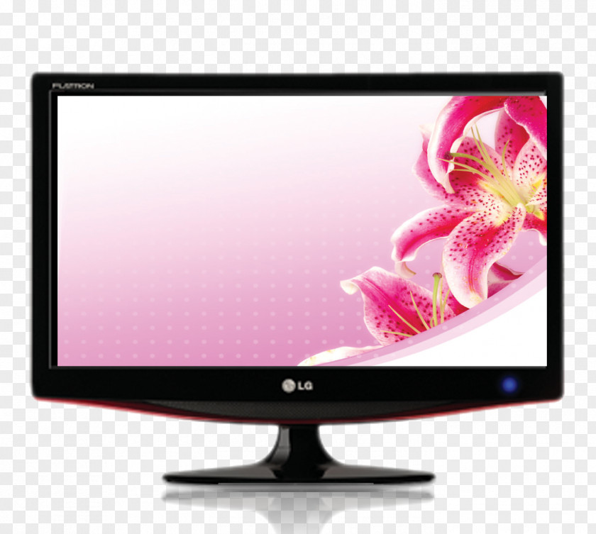 Red Flower Wallpaper Computer Display Monitor LCD Television LG Corp PNG
