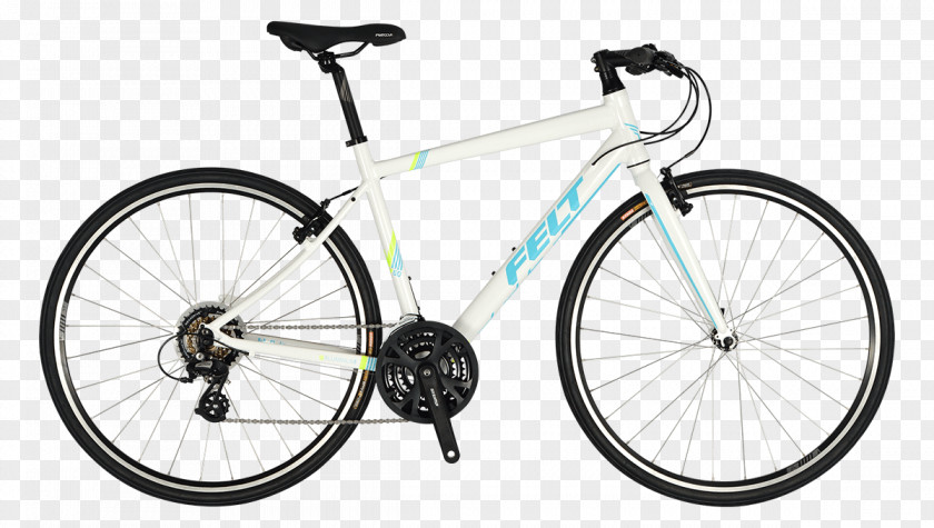 Bicycle Hybrid Chameleons Bianchi Cycling PNG