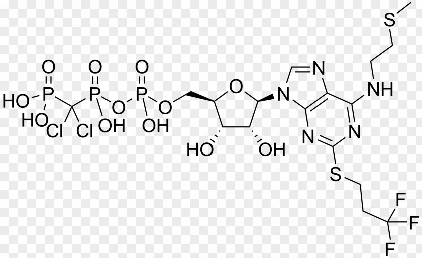 CGS-21680 Chemical Compound Flavin Adenine Dinucleotide Coenzyme Cyclic Adenosine Monophosphate PNG