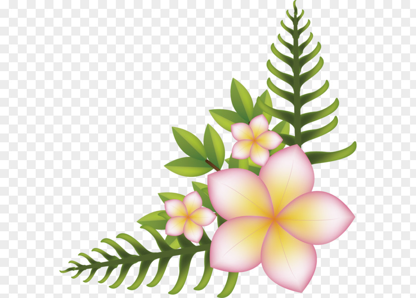 Flower Right Angle Vector Graphics Image PNG