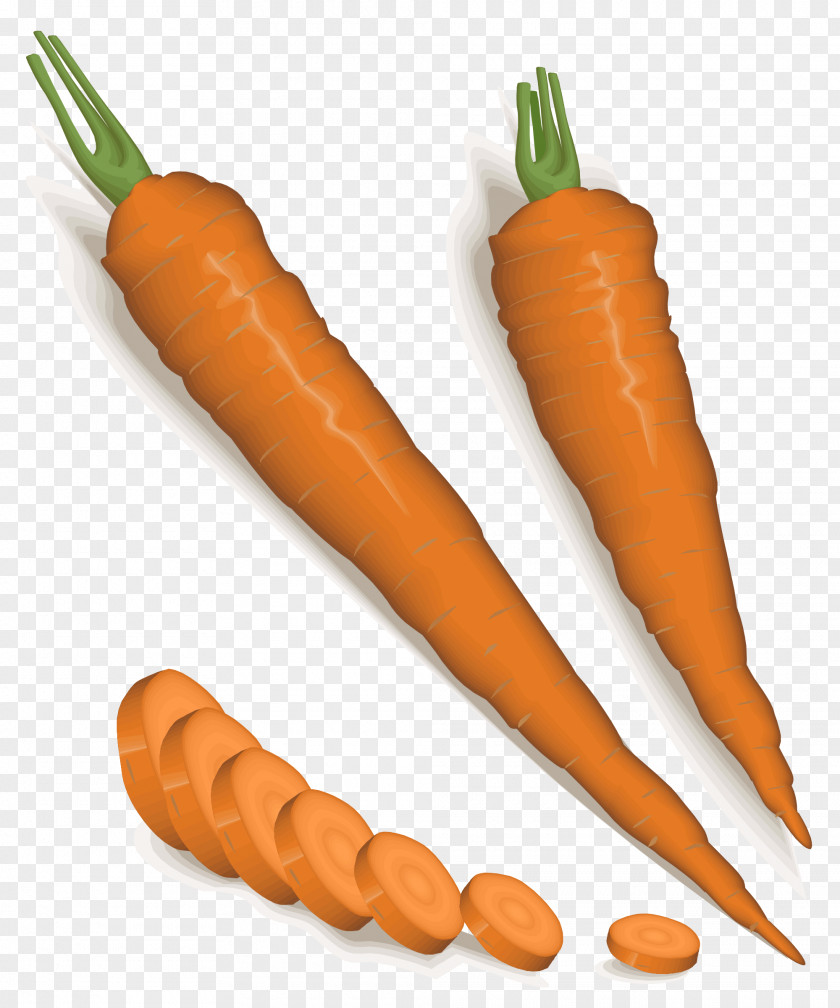 Cliparts Baby Carrots Carrot Vegetable Clip Art PNG
