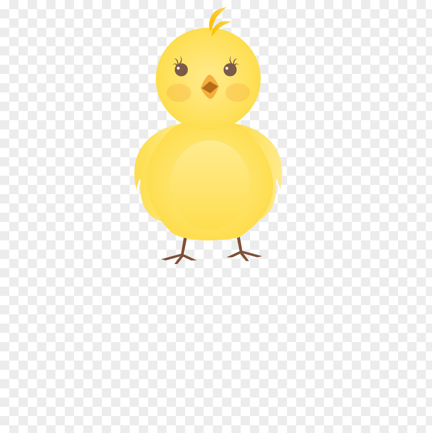 Cute Chickens Chicken Cartoon PNG