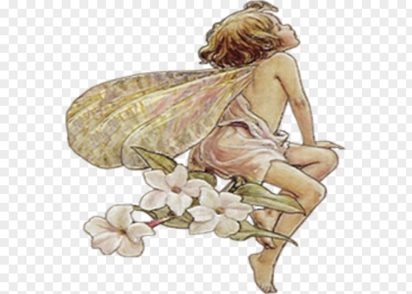 Fairy Public Domain Flower Fairies Clip Art PNG