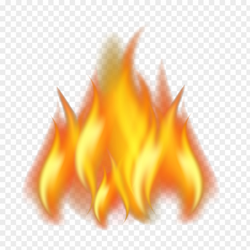 Flame Vector Graphics Image Transparency PNG