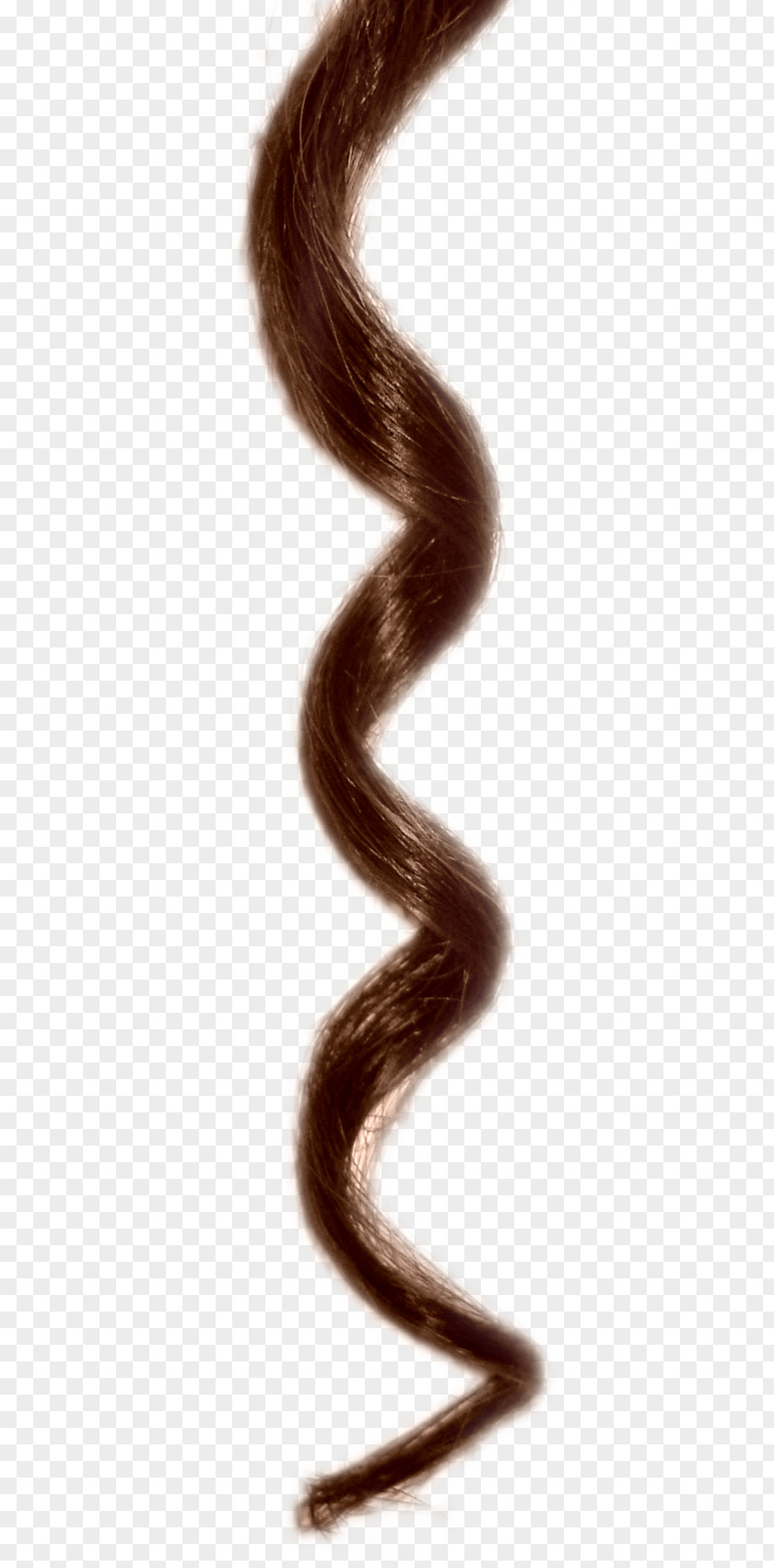 Hair Curls Clip Art PNG