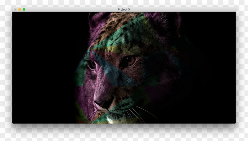 Jaguar Desktop Wallpaper Cheetah Leopard Lion High-definition Television PNG