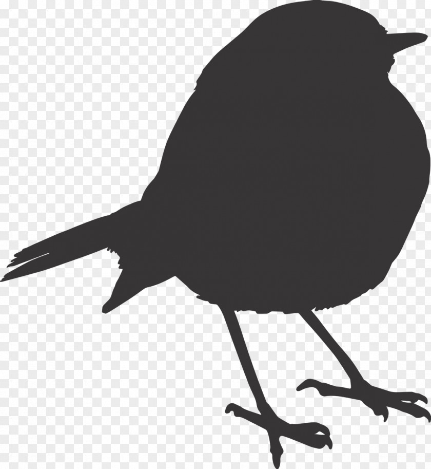 Sparrow Bird Download PNG