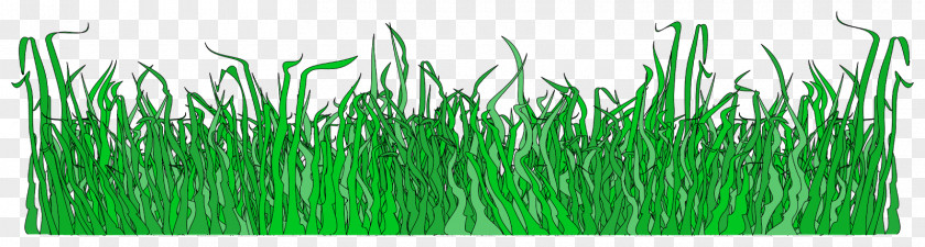 Spring Grass Lawn Mowers PNG