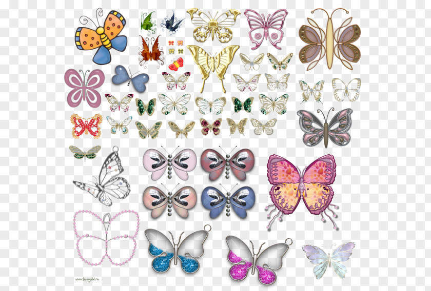 Butterfly Clip Art Image Visual Arts PNG