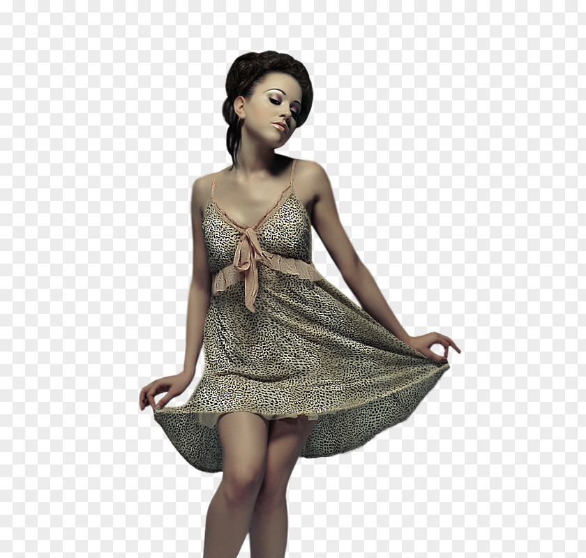 Cocktail Dress Photo Shoot Fashion PNG