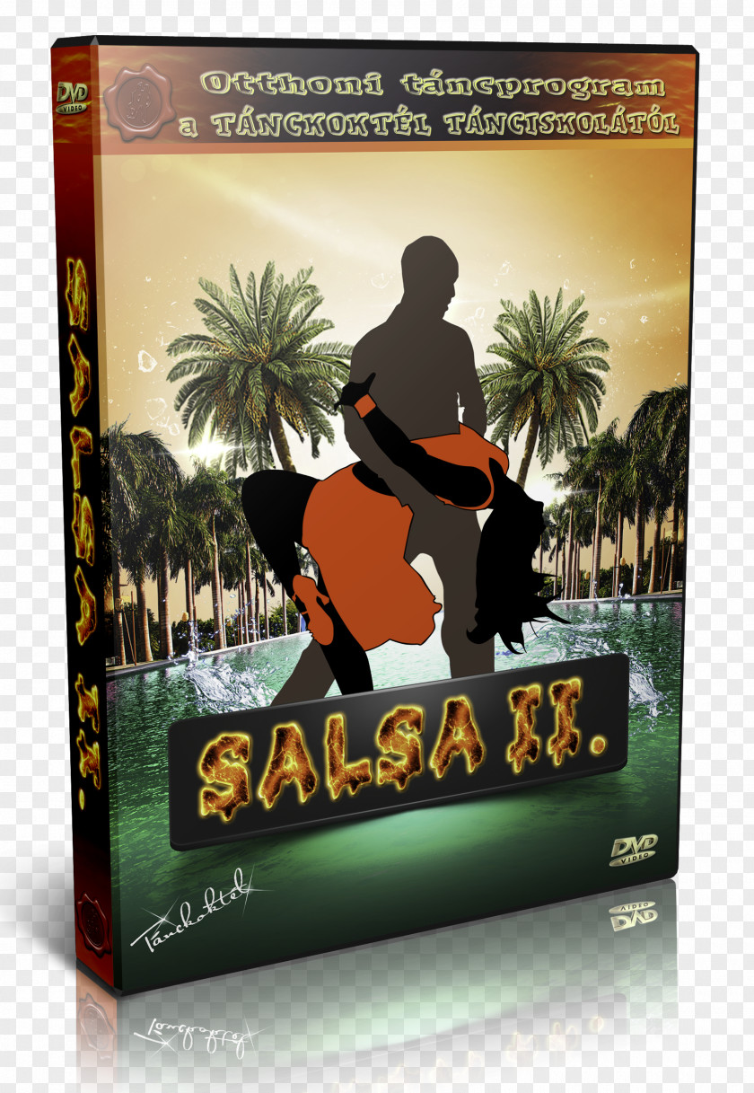 Dvd DVD Dance Salsa Compact Disc Caribbean PNG