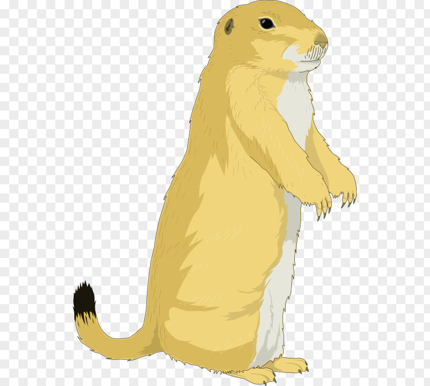 Ground Cliparts The Groundhog Prairie Dog Rodent Clip Art PNG