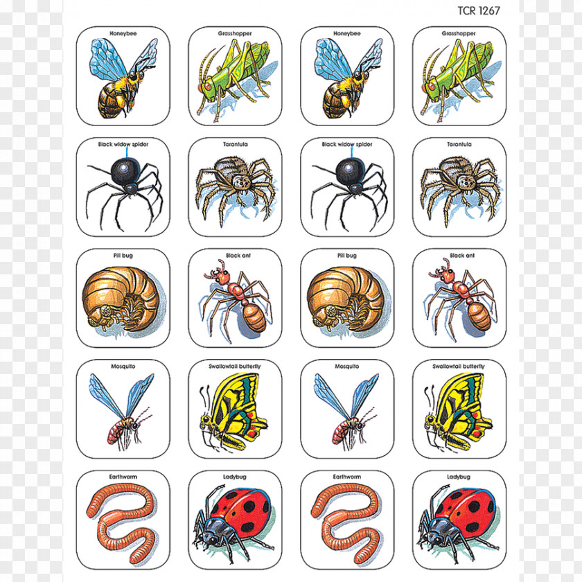 Insect Game Animal Pollinator Drawing PNG