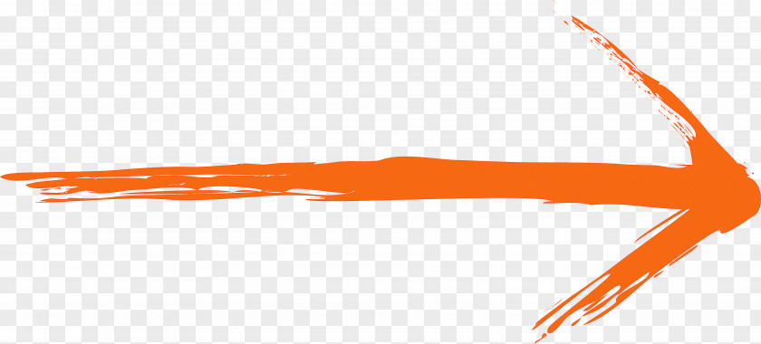 Brush Arrow PNG