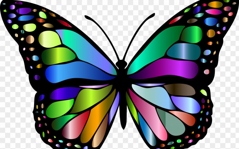 Butterfly Monarch Insect Coloring Book Clip Art PNG