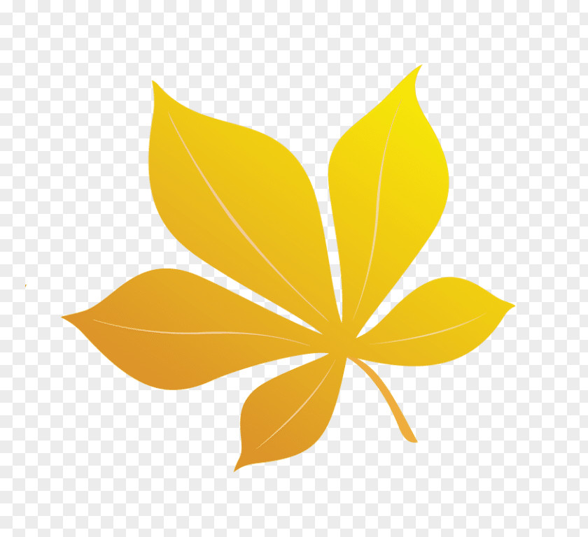 Leaf Poster Petal PNG