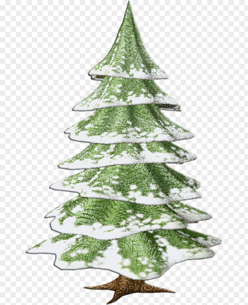 Tree Spruce Christmas Fir Decoration PNG